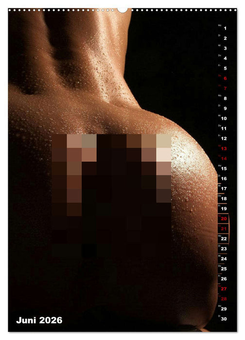 Andro~Po~sophisches (CALVENDO Wandkalender 2026)