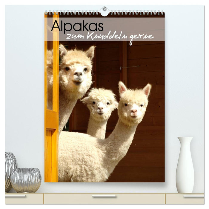Alpakas zum Knuddeln gerne (CALVENDO Premium Wandkalender 2026)