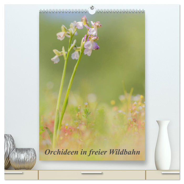 Orchideen in freier Wildbahn (CALVENDO Premium Wandkalender 2026)