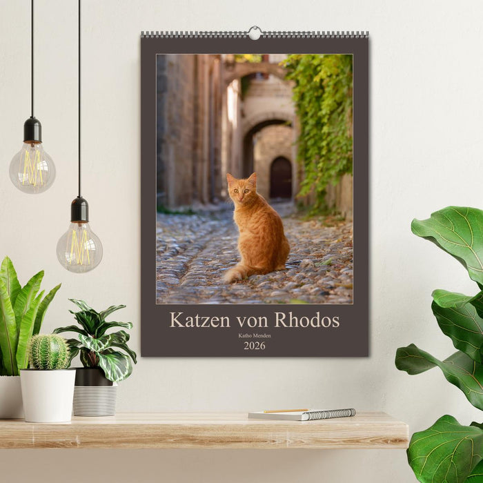 Katzen von Rhodos (CALVENDO Wandkalender 2026)