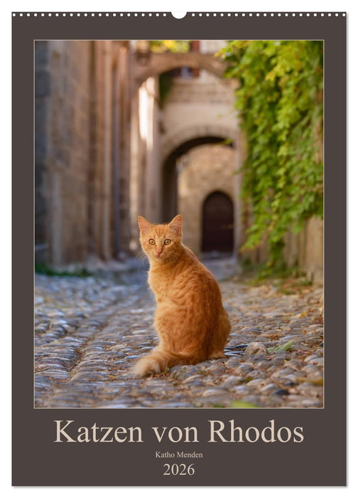 Katzen von Rhodos (CALVENDO Wandkalender 2026)
