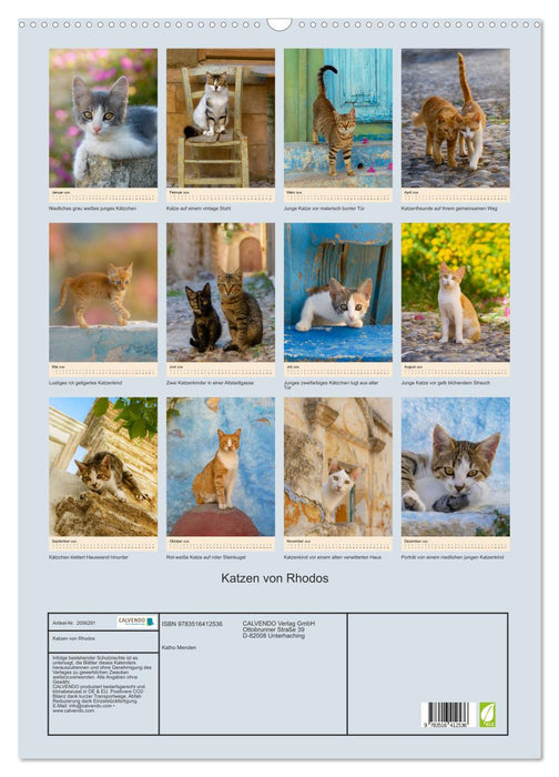Katzen von Rhodos (CALVENDO Wandkalender 2026)