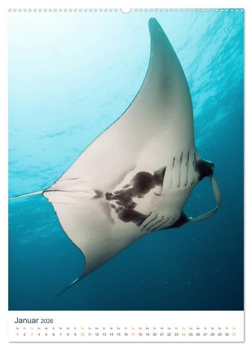 Unter Wasser daheim (CALVENDO Wandkalender 2026)