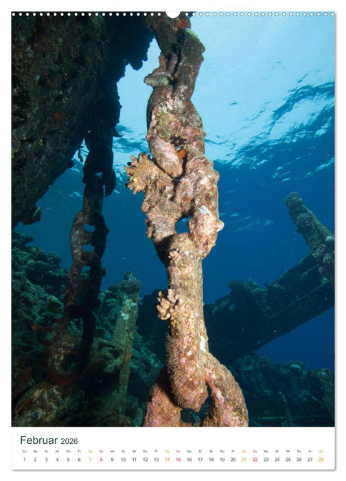 Unter Wasser daheim (CALVENDO Wandkalender 2026)