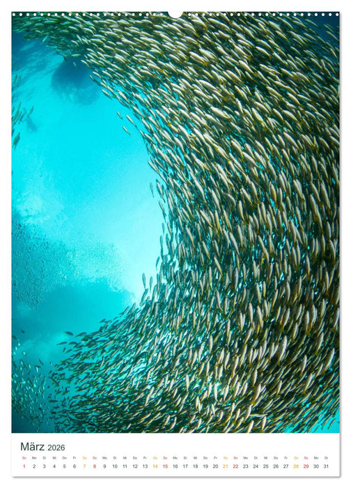 Unter Wasser daheim (CALVENDO Wandkalender 2026)