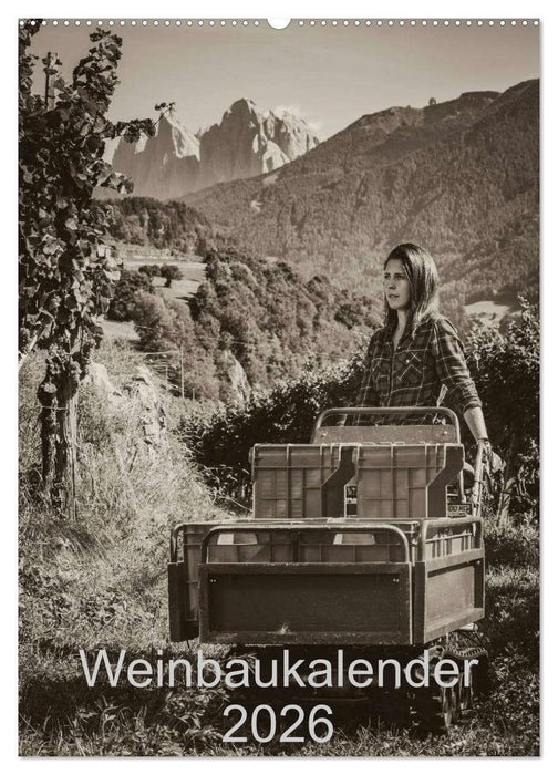 Weinbaukalender 2026 (CALVENDO Wandkalender 2026)