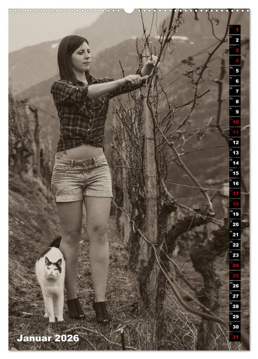 Weinbaukalender 2026 (CALVENDO Wandkalender 2026)