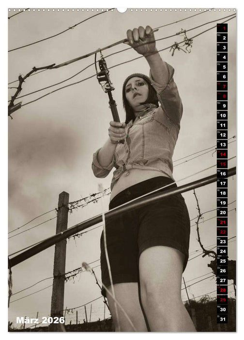 Weinbaukalender 2026 (CALVENDO Wandkalender 2026)