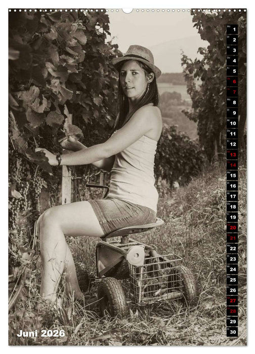 Weinbaukalender 2026 (CALVENDO Wandkalender 2026)