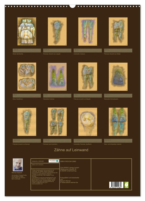 Zähne auf Leinwand (CALVENDO Wandkalender 2026)