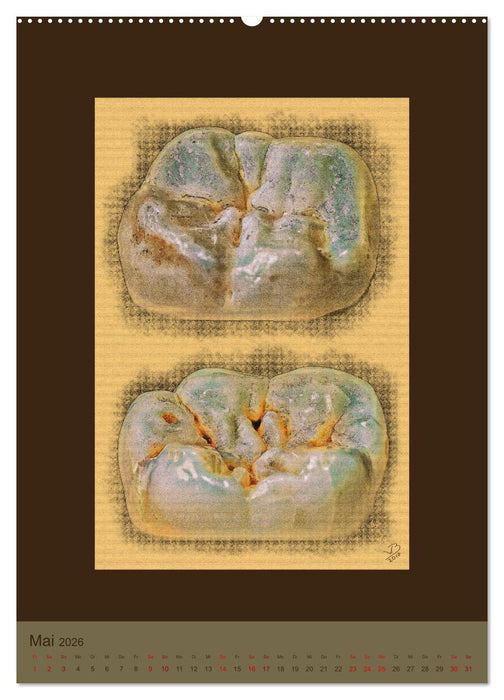 Zähne auf Leinwand (CALVENDO Wandkalender 2026)