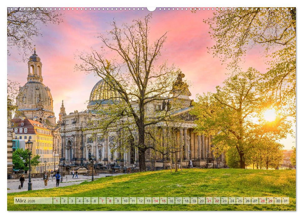 Dresden - zeitlose Schönheit (CALVENDO Premium Wandkalender 2026)