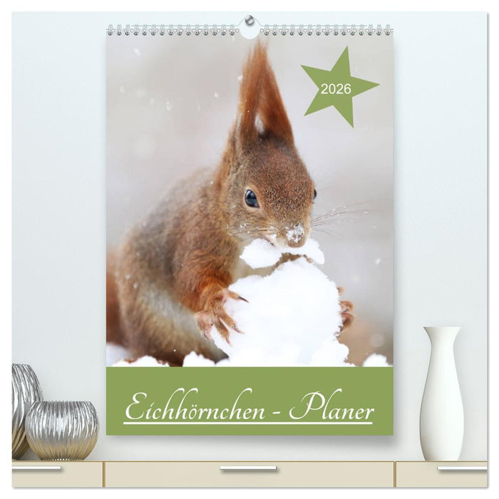 Eichhörnchen - Planer (CALVENDO Premium Wandkalender 2026)