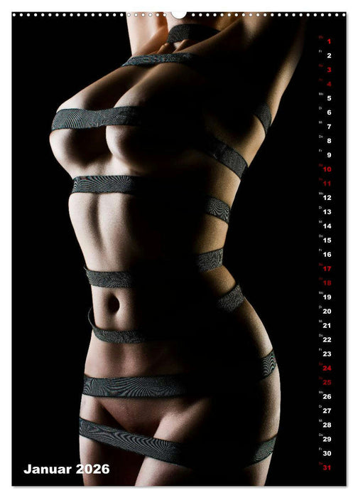 Fesselnde Schönheit (CALVENDO Premium Wandkalender 2026)