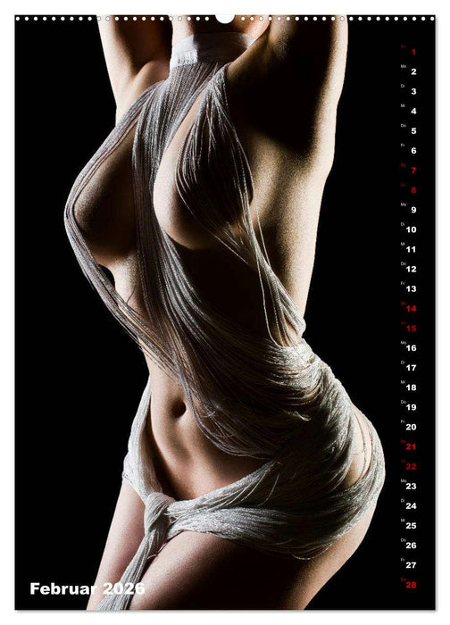 Fesselnde Schönheit (CALVENDO Premium Wandkalender 2026)