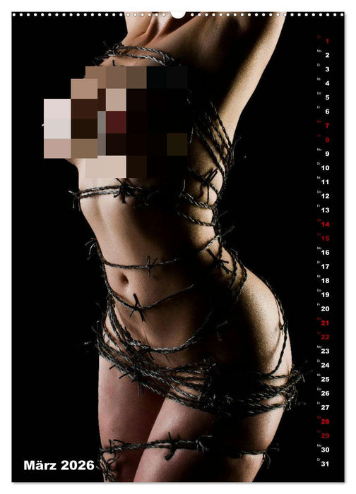 Fesselnde Schönheit (CALVENDO Premium Wandkalender 2026)