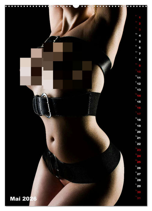 Fesselnde Schönheit (CALVENDO Premium Wandkalender 2026)