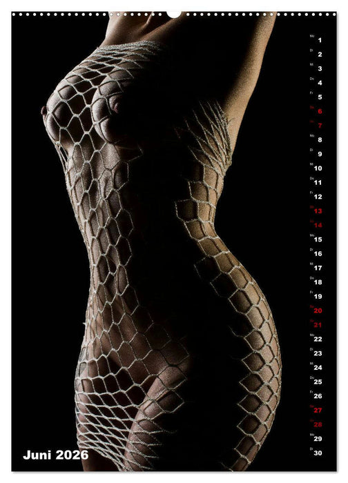 Fesselnde Schönheit (CALVENDO Premium Wandkalender 2026)