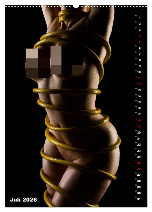 Fesselnde Schönheit (CALVENDO Premium Wandkalender 2026)