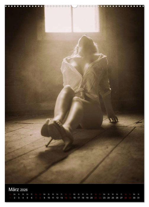 Sensual Desire - zärtliche Fantasien (CALVENDO Premium Wandkalender 2026)