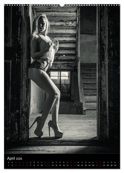 Sensual Desire - zärtliche Fantasien (CALVENDO Premium Wandkalender 2026)