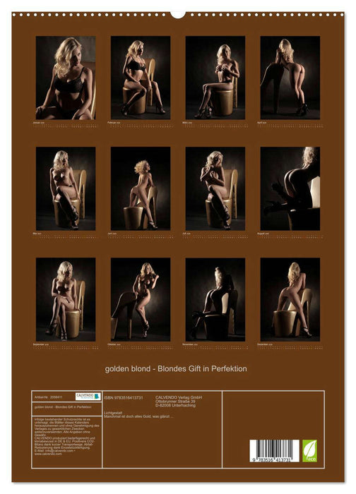 golden blond - Blondes Gift in Perfektion (CALVENDO Premium Wandkalender 2026)