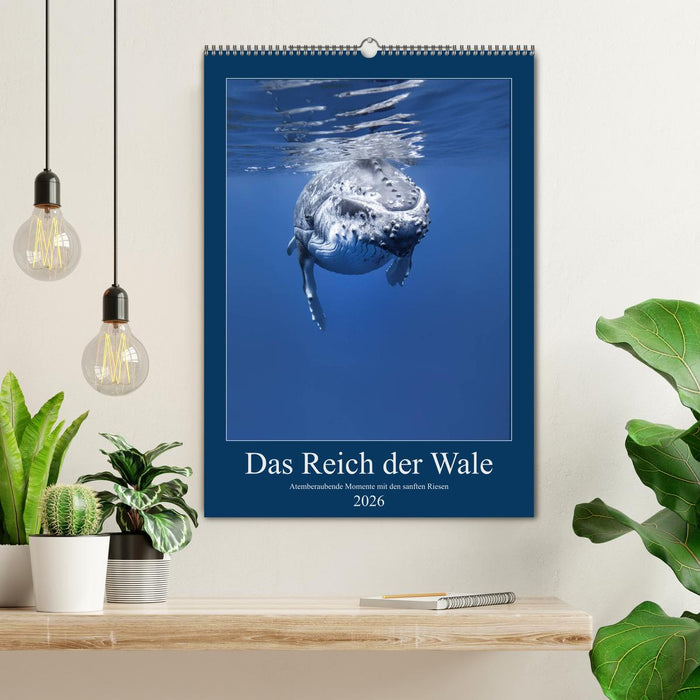 Im Reich der Wale (CALVENDO Wandkalender 2026)