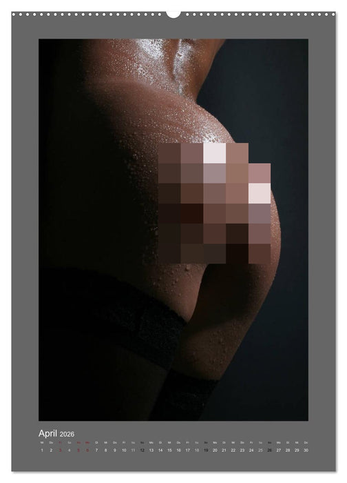 Rückseiten - Noch mehr Rundes und Schönes (CALVENDO Wandkalender 2026)