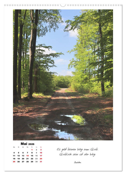 Wege durchs Jahr - Spaziergänge im schönen Nordhessen (CALVENDO Premium Wandkalender 2026)