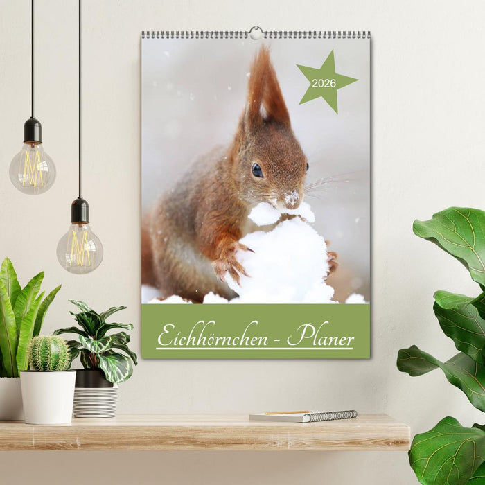 Eichhörnchen - Planer (CALVENDO Wandkalender 2026)