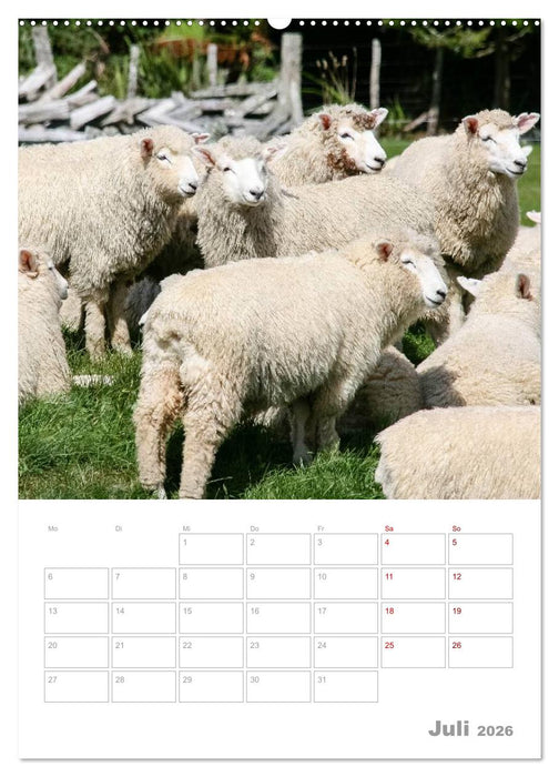 Kalenderplaner g'day Neuseeland 2026 (CALVENDO Premium Wandkalender 2026)