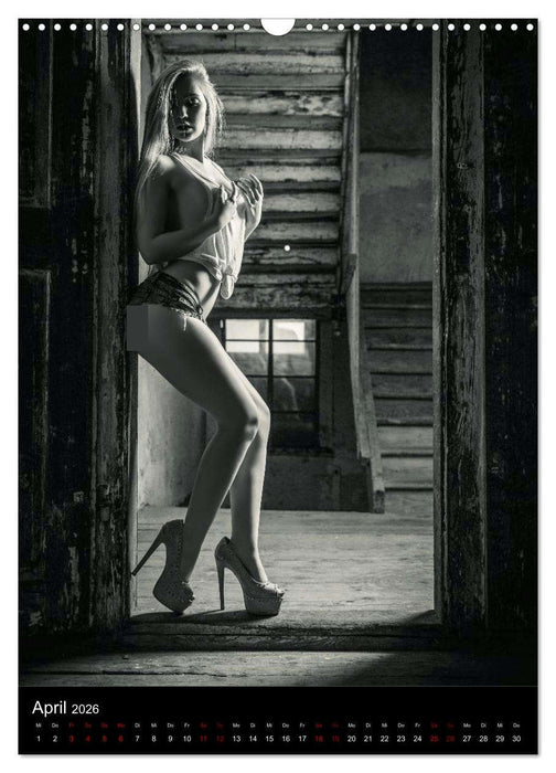 Sensual Desire - zärtliche Fantasien (CALVENDO Wandkalender 2026)