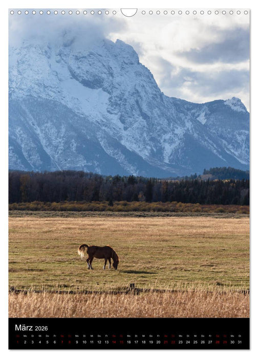 Teton Range - Der Grand Teton National Park (CALVENDO Wandkalender 2026)