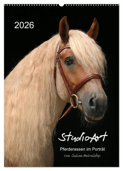 StudioArt Pferderassen im Porträt (CALVENDO Wandkalender 2026)