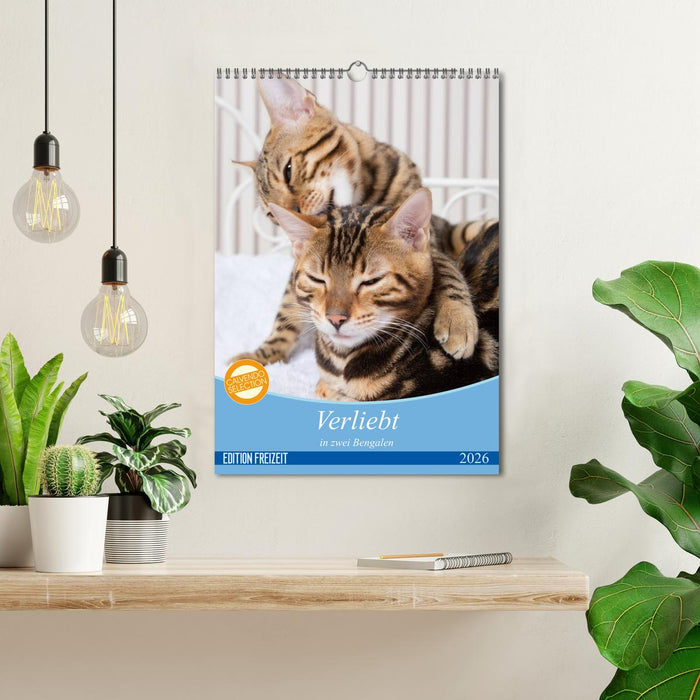 Verliebt in zwei Bengalen (CALVENDO Wandkalender 2026)