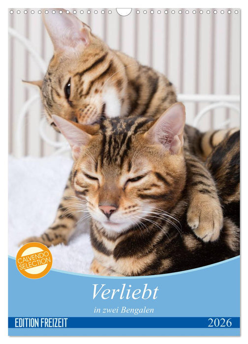 Verliebt in zwei Bengalen (CALVENDO Wandkalender 2026)