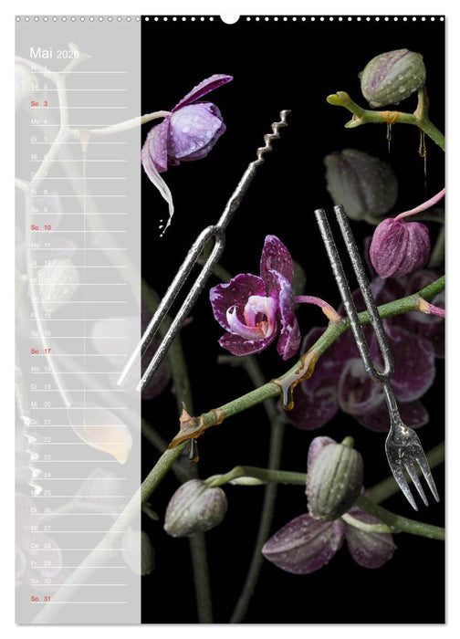 Funny Kitchen - Der verrückte Küchenplaner (CALVENDO Wandkalender 2026)