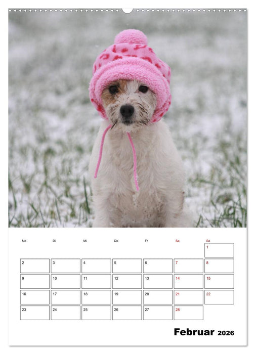 Tender Fellows - Parson Russell Terrier (CALVENDO Premium Wandkalender 2026)