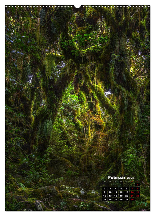 Neuseeland, Inseln der Träume (CALVENDO Premium Wandkalender 2026)
