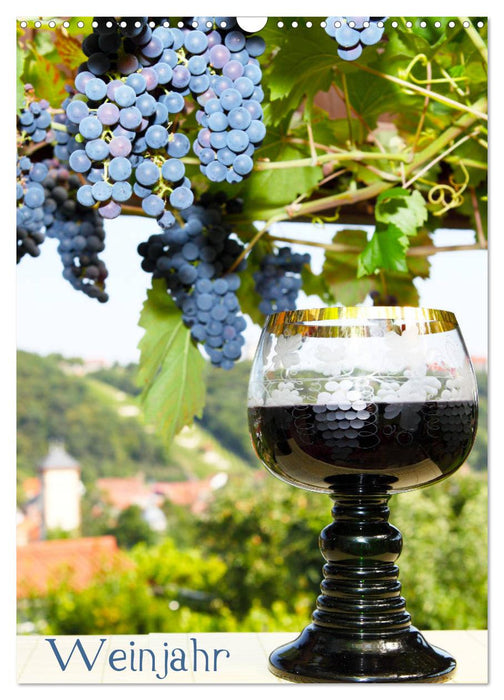 Weinjahr (CALVENDO Wandkalender 2026)