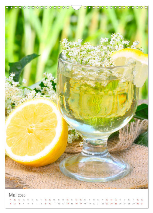 Weinjahr (CALVENDO Wandkalender 2026)