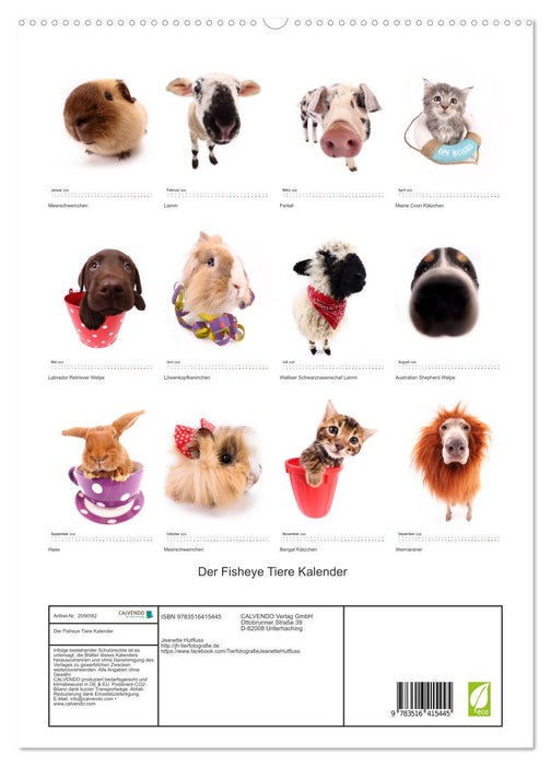Der Fisheye Tiere Kalender (CALVENDO Premium Wandkalender 2026)