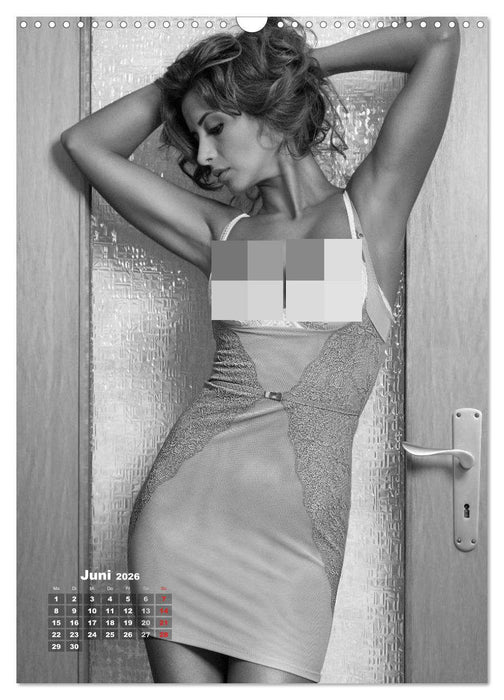 NILU LINGERIE 2026 (CALVENDO Wandkalender 2026)