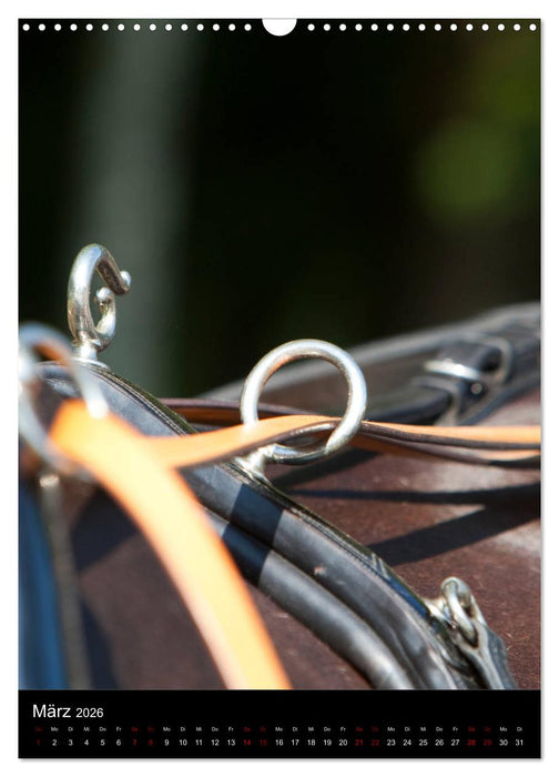 Kutschendetails (CALVENDO Wandkalender 2026)