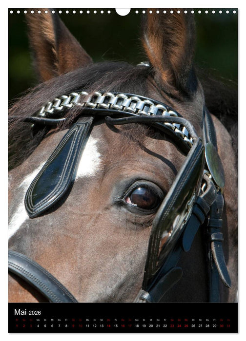Kutschendetails (CALVENDO Wandkalender 2026)
