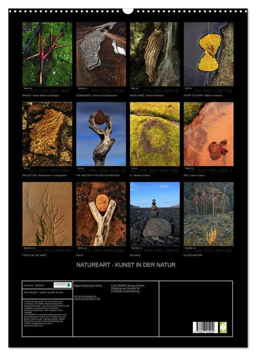 NATUREART - KUNST IN DER NATUR (CALVENDO Wandkalender 2026)