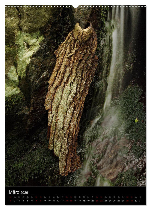 NATUREART - KUNST IN DER NATUR (CALVENDO Wandkalender 2026)