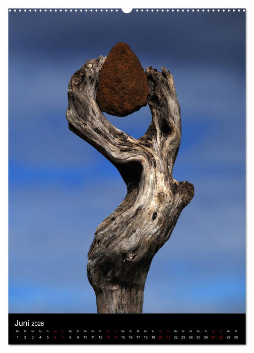 NATUREART - KUNST IN DER NATUR (CALVENDO Wandkalender 2026)