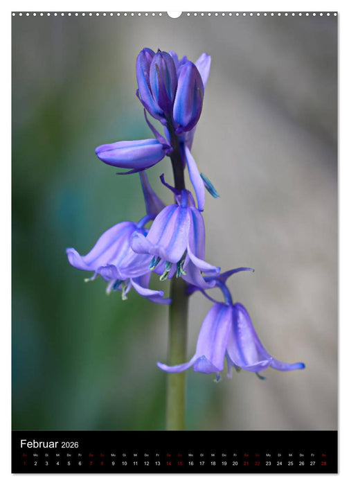 Ganz nah an der Natur (CALVENDO Premium Wandkalender 2026)