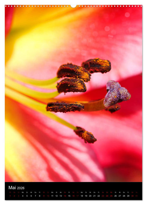 Ganz nah an der Natur (CALVENDO Premium Wandkalender 2026)